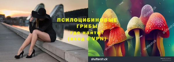 Альфа ПВП Арсеньев