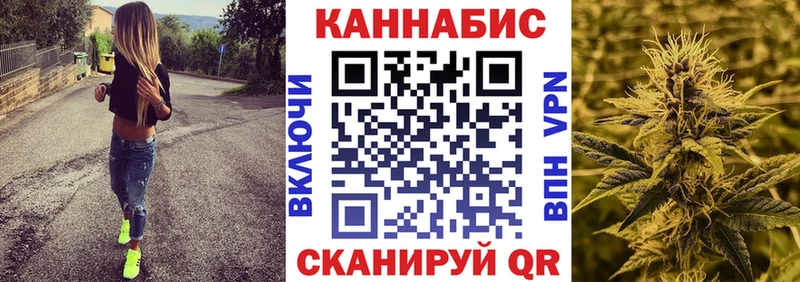 Канабис семена Пересвет